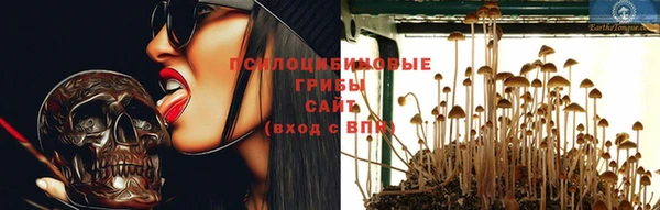 твердый Липки