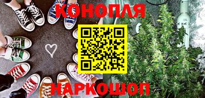 крисы Бийск