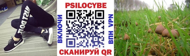 mega как зайти  Обнинск  Галлюциногенные грибы прущие грибы 
