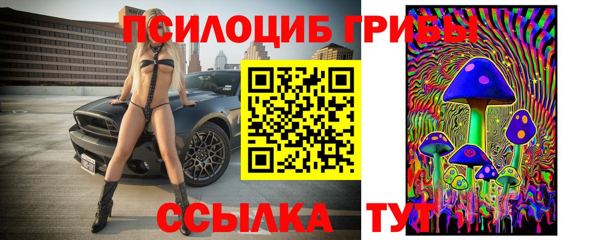 Галлюциногенные грибы MAGIC MUSHROOMS  Вход с VPN  Обнинск 