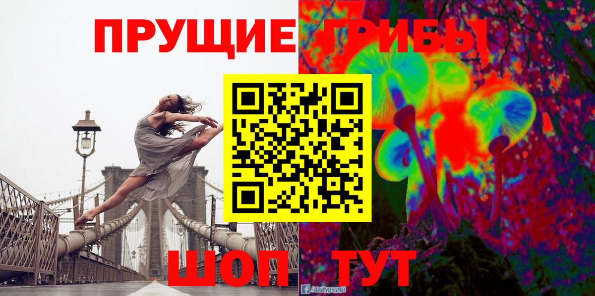 Псилоцибиновые грибы Cubensis Обнинск